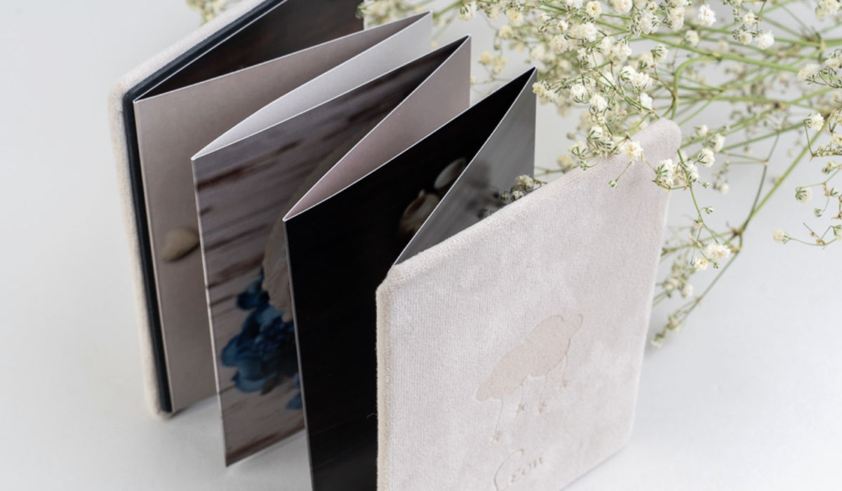 capture d’écran 2026 01 03 à 11.11.31